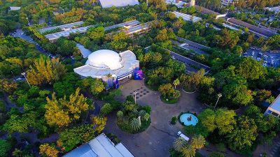 O campus da Unifor oferece um microclima único, resultado da sua vasta cobertura vegetal (Foto: Ares Soares)