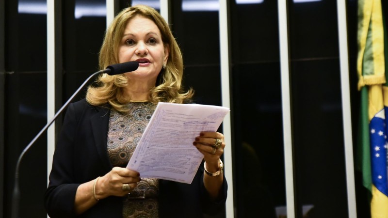 A presidente da Fundação Edson Queiroz, Lenise Queiroz Rocha, no plenário da Casa Legislativa, em Brasília. (Foto: Antonio Molina Neto)