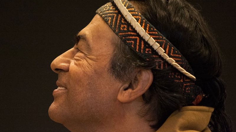 Ailton Krenak é considerado um dos mais importantes nomes da luta indígena no Brasil (Foto: Helio Carlos Mello)