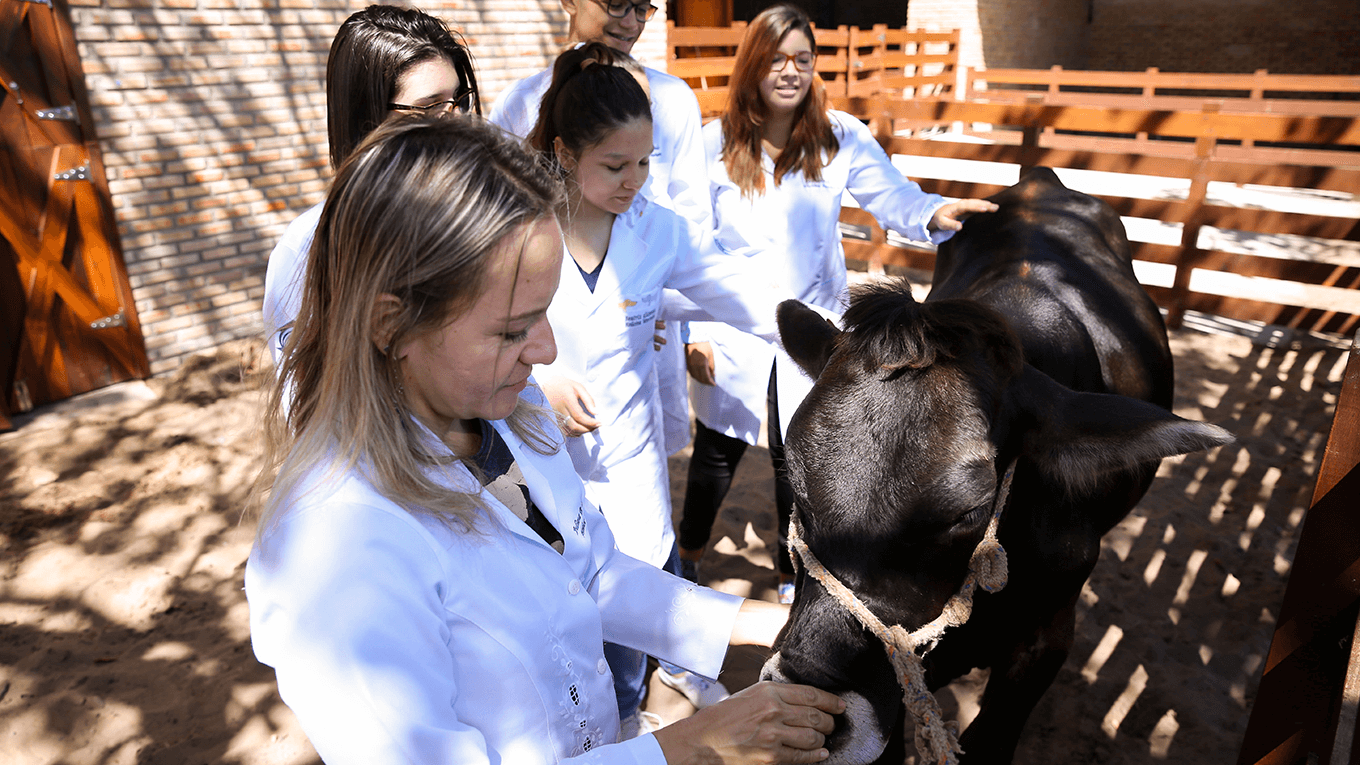 Complexo da Medicina Veterinária