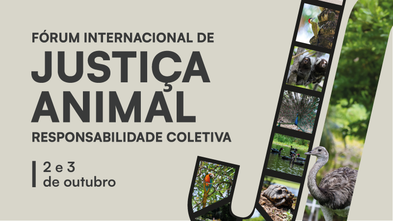 A obra dialoga diretamente com os estudos da filósofa Martha Nussbaum, que defende um despertar ético global em favor dos animais enquanto seres sencientes e sujeitos de direito (Foto: Divulgação)