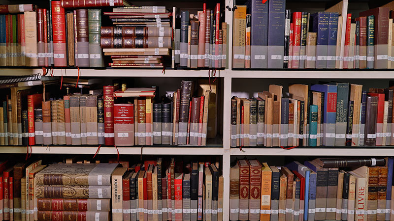 Biblioteca Labirinto, parte do acervo da Fundação Waldemar Alcântara (Foto: Divulgação)