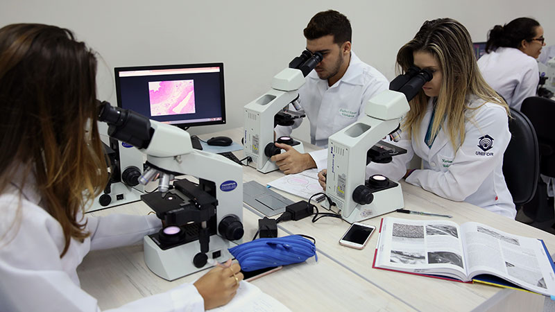 O curso de Medicina Veterinária da Unifor estimula o contato dos estudantes com uma vasta área de atuação (Foto: Ares Soares)