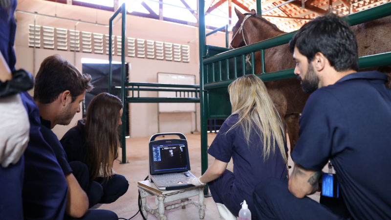 Os estudantes terão direito à certificação após o período de 19 dias de treinamento (Foto: Ares Soares)
