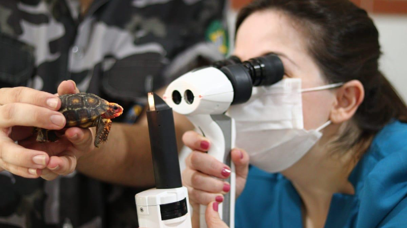 Lançado em 2016, curso de Medicina Veterinária da Unifor destaca-se por sua estrutura. (Foto: Acervo Pessoal/Késia Alves)
