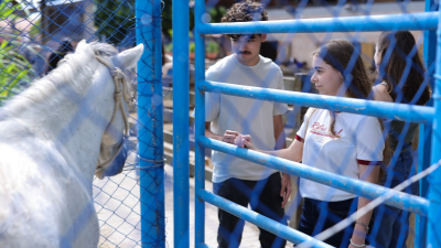 Existem cerca de 20 especialidades da medicina veterinária oficialmente reconhecidas pelo Conselho Federal (Foto: Ares Soares)