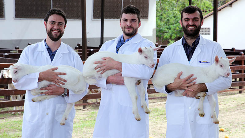 Cientistas da Unifor modificam genes de cabra para a produção de leite com características humanas (Foto: Ares Soares)