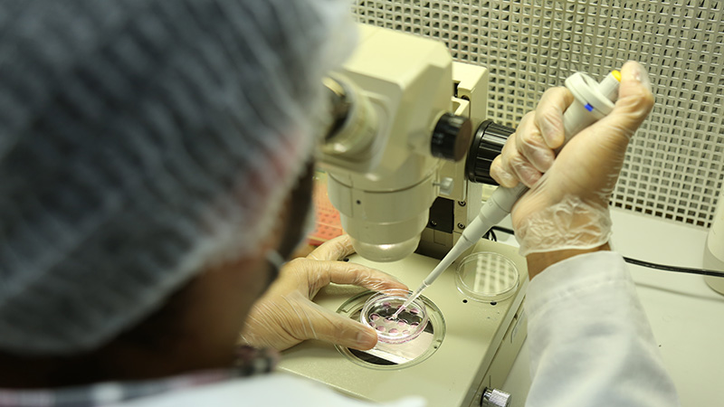 A Unifor realiza dia 29 de novembro uma palestra com o tema: Biotecnologia para saúde no Instituto Butantan. Foto: Ares Soares.